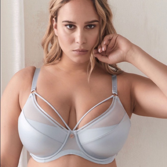 Ashley Graham Other - ASHLEY GRAHAM Sz 44B Demi Cup Mesh In Celestial Blue Bra